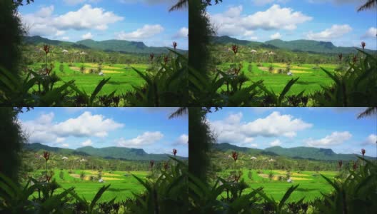 观看稻田和小山的时间推移视频。巴厘岛Karangasem偏远的塞德门的自然美景。巴厘岛风景视频。高清在线视频素材下载