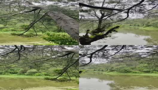 平静的湖在雨中从右到左平移高清在线视频素材下载
