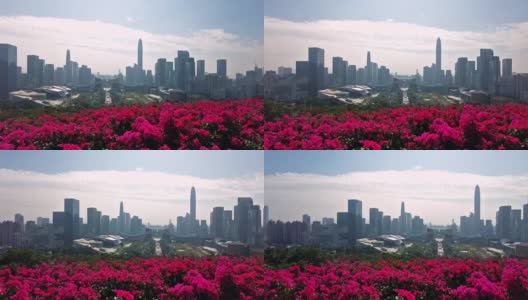 深圳城市景观延时摄影高清在线视频素材下载