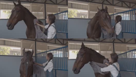 可爱的年轻亚洲女人照顾一匹棕色的马在马厩高清在线视频素材下载