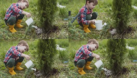 孩子在后院种树高清在线视频素材下载