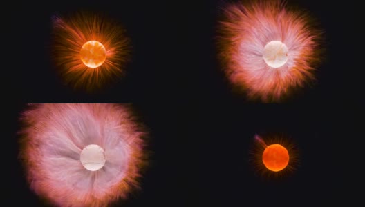 有机抽象背景宏观迷人的化学实验与彩色药丸溶解在水中看起来像一个火球高清在线视频素材下载