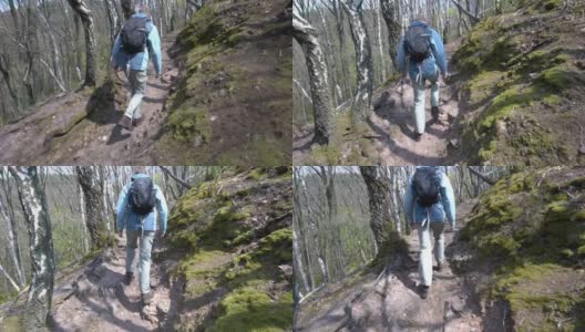 让徒步旅行者走在森林的小上坡路上高清在线视频素材下载