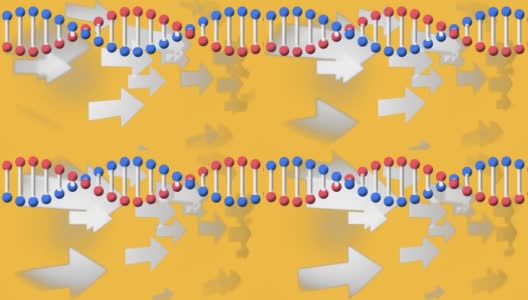 数字动画的dna结构旋转在多个箭头图标对黄色背景高清在线视频素材下载