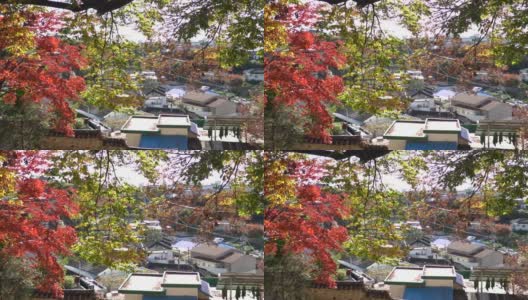 在韩国，秋天的落叶正如火如荼。在韩国，欣赏秋叶美景的旅行被称为“看枫叶”。高清在线视频素材下载