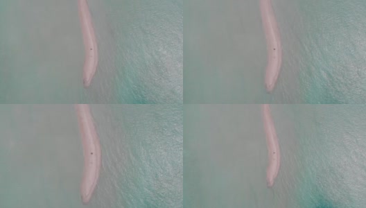 无人机在热带沙洲上空飞行，白种人夫妇绿松石和蓝色的水，珊瑚，一些船和白色的沙子。鸟瞰印度洋上风景如画的岛屿，马尔代夫，拉杜赫，阿利夫阿利夫环礁。高清在线视频素材下载