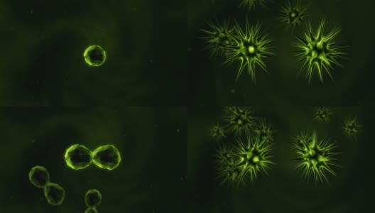 病毒在显微镜下高清在线视频素材下载