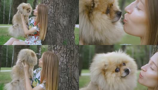 一个女孩和一只狗在公园散步。波美拉尼亚的猎犬高清在线视频素材下载
