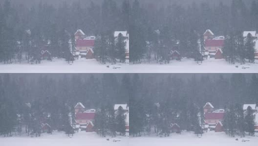 特勒茨科湖岸边，杉树林中的房屋被厚厚的积雪覆盖着高清在线视频素材下载
