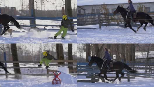 慢镜头:一个女孩骑着马疾驰。一匹马用绳子拖着一个滑雪者。滑雪者在雪堆中骑在滑雪板上。女骑师和男滑雪板运动员通过跳板进行跳跃。高清在线视频素材下载