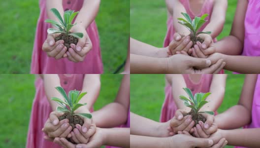 亚洲妇女捧着一把泥土和绿色植物。保护地球的概念和象征。慢动作拍摄，50帧/秒高清在线视频素材下载