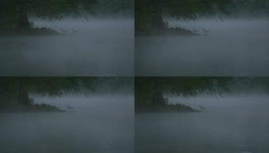 湖雾高清在线视频素材下载