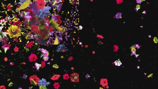 彩色大花背景在4K高清在线视频素材下载