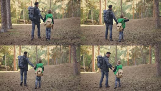 幸福家庭的背影孩子和父亲走在森林里手牵着手说话，男孩正在扔松果。自然、父爱、秋的概念。高清在线视频素材下载