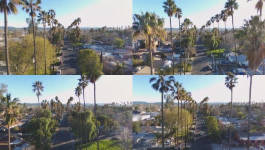 洛杉矶棕榈树街鸟瞰图高清在线视频素材下载