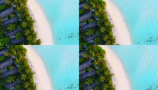 热带天堂，马尔代夫豪华度假高清在线视频素材下载
