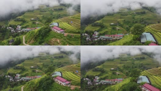 鸟瞰图在绿色的森林和丛林与棕榈树在亚洲，树木和稻田在山上高清在线视频素材下载