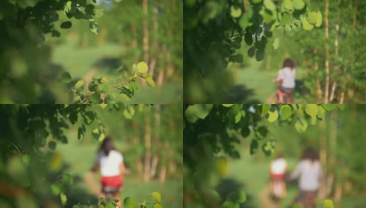 树枝随风飘动，背景是骑着自行车的少女，模糊不清，绿油油的森林，夏日高清在线视频素材下载