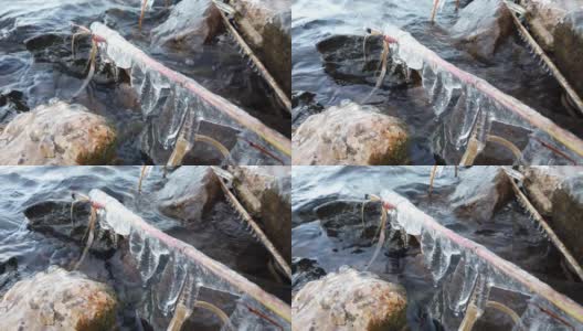 芬兰，当湖面开始结冰时，植物被冰覆盖高清在线视频素材下载