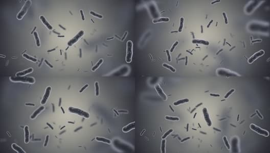 细菌的动画高清在线视频素材下载