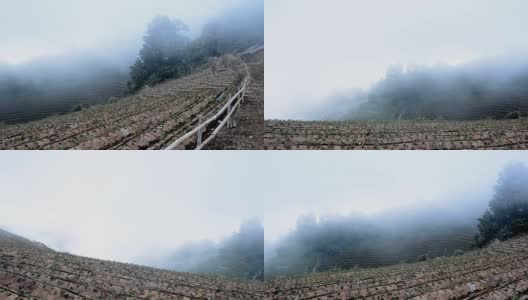 农村景观艺术。山上有草莓地，乡下有雾高清在线视频素材下载