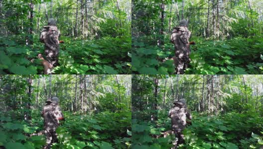 在森林里狩猎的男性猎人高清在线视频素材下载