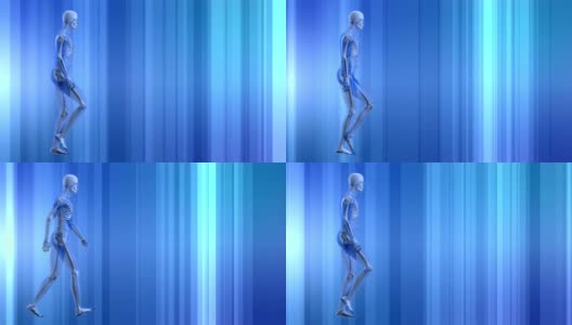 人类骨骼在蓝色背景下行走高清在线视频素材下载