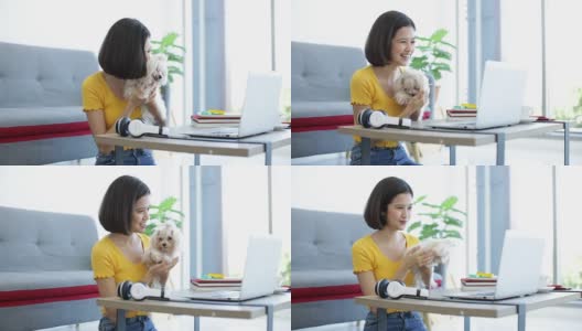 一个女孩正在客厅里和一只马耳他狗一起使用笔记本电脑。高清在线视频素材下载
