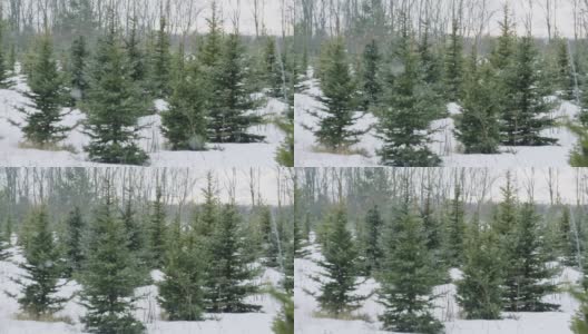 雪花飘落在美丽的灰色冬日风景上高清在线视频素材下载