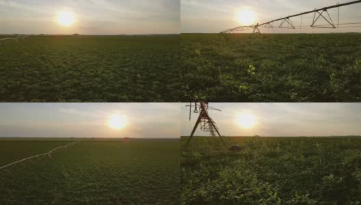 在夏季农业用地上有灌溉设备、农业喷灌设备高清在线视频素材下载