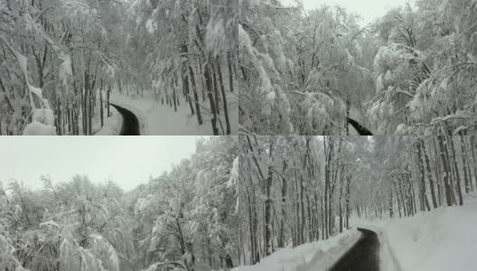 雪覆盖的山路，雪覆盖的树林高清在线视频素材下载