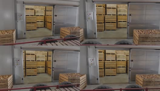 冷藏仓库用于装洋葱的盒子高清在线视频素材下载