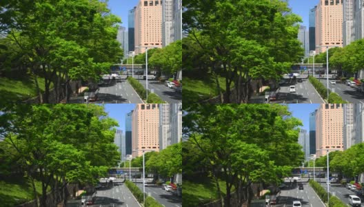 看到美丽的新绿色城市街道高清在线视频素材下载