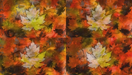 绘画般的秋天色彩与树叶的轮廓。高清在线视频素材下载
