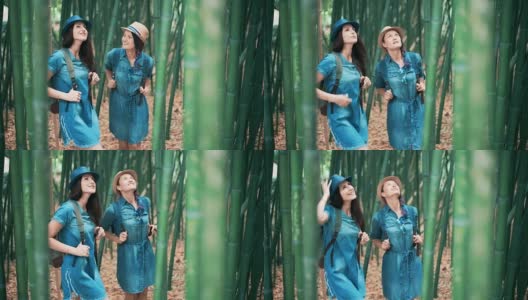 两个女游客在暑假参观竹林高清在线视频素材下载