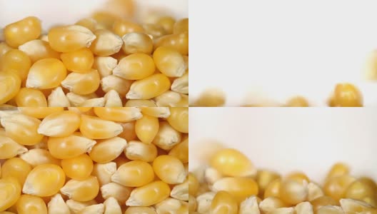 玉米粒脱落高清在线视频素材下载