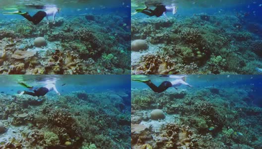 女浮潜者在泳衣浮潜沿着珊瑚礁与许多热带鱼在加姆岛。拉贾安帕，西巴布亚，印度尼西亚高清在线视频素材下载