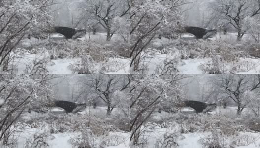 中央公园雪天大桥高清在线视频素材下载