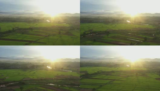 鸟瞰大片农田，河流穿过的稻田。泰国北部南省农村地区的农业生活方式。高清在线视频素材下载