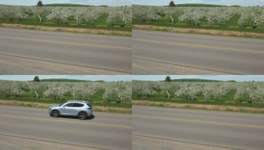 短航拍视频显示街道对面的appel树田和一辆汽车经过高清在线视频素材下载