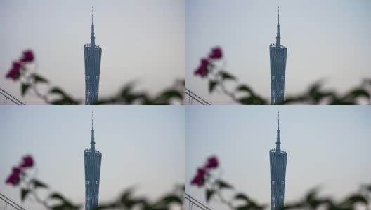 日落广州广州塔顶鲜花全景4k时间中国高清在线视频素材下载