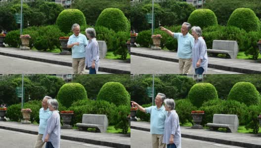 一对老夫妇手牵着手在公园散步高清在线视频素材下载