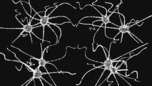 神经元系统线框有点和线。科学的医疗保健理念高清在线视频素材下载