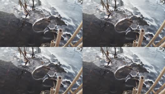 芬兰，当湖面开始结冰时，植物被冰覆盖高清在线视频素材下载