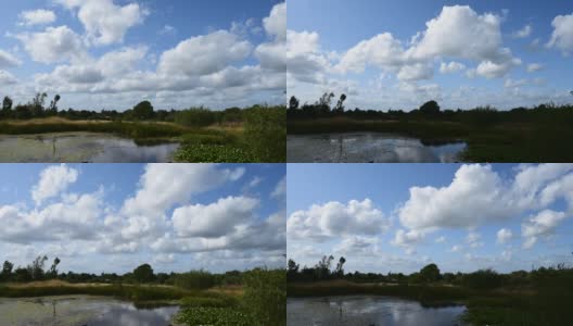 斯塔福德郡威特利沼泽上的匆匆云和池塘。高清在线视频素材下载