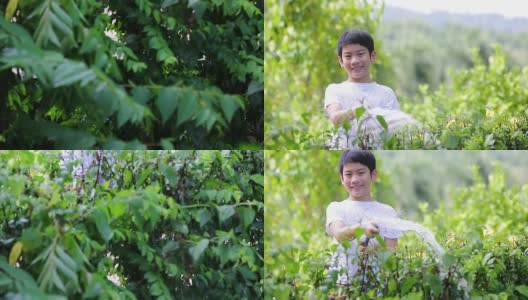 Little Asian boy watering the tree高清在线视频素材下载