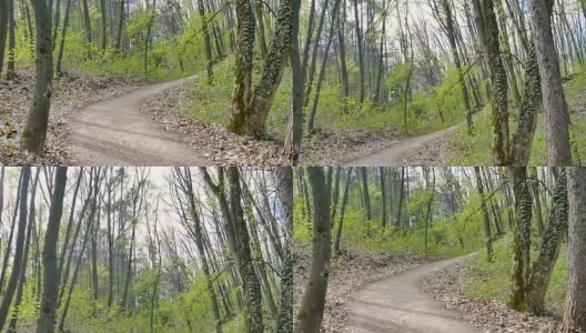 POV摄像机沿着森林小径拍摄。去年的枯叶。新鲜的春天的绿色，灌木，灌木，公园高清在线视频素材下载