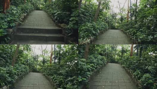 热带雨林公园-游客巷，斯坦尼康高清在线视频素材下载