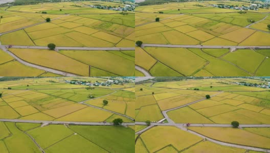 鸟瞰图美丽的稻田和布朗大道，赤上乡，台东县，台湾秋天高清在线视频素材下载