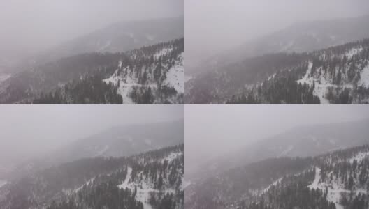 无人机拍摄的科罗拉多州荒野山边的雪山松林高清在线视频素材下载
